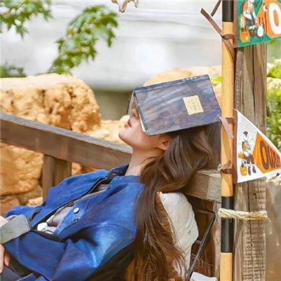 使用下方 20 个影片名，按顺序一一对应，不要改动片名文字，只根据片名和括号内类型提示来虚构全新的故事内容： 木偶新知 剑底情鸯 二加二等于三 师姐也疯狂 凶恶谢幕 携带狗的猫 一家之主2022 高墙 圣诞特辑 台北星期天 尸控水族馆 锦绣南歌 天堂春满 欲女心惊 黄飞鸿义取丁财炮国语 你的名字 外星人电视第一季 超龙珠英雄：宇宙争乱篇 诡水疑云 偷月迷情